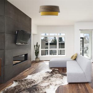 plafon-de-techo-pantalla-mostaza-madera-en-salon-briana