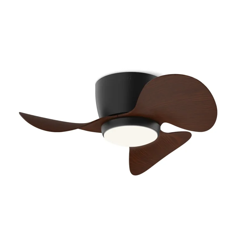 monty marron oscuro